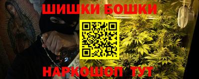 СК Гатчина