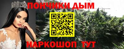 СК Гатчина