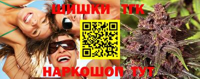 СК Гатчина