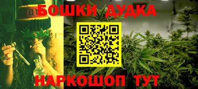 СК Гатчина