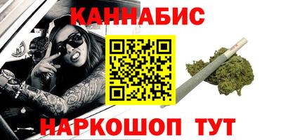 СК Гатчина