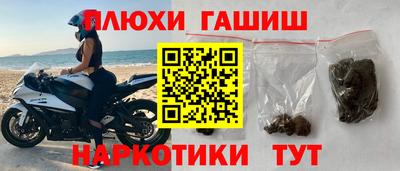 СК Гатчина