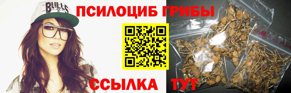 Галлюциногенные грибы GOLDEN TEACHER  как найти   Псилоцибиновые грибы Psilocybe  Нефтеюганск  Вход с VPN 
